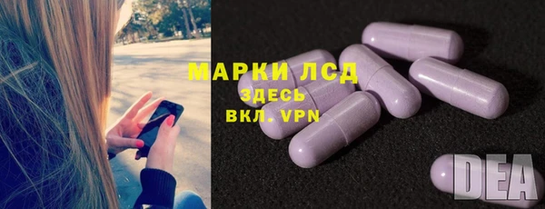 ГАЛЛЮЦИНОГЕННЫЕ ГРИБЫ Гусь-Хрустальный