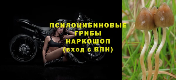 ПСИЛОЦИБИНОВЫЕ ГРИБЫ Дмитров
