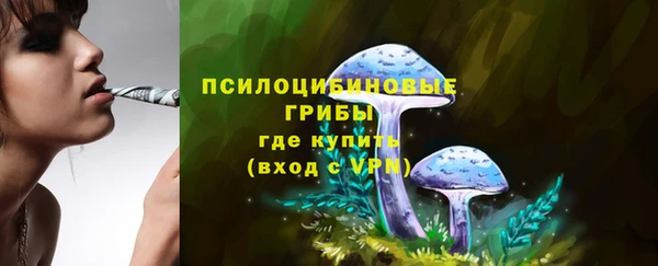 mdma Дмитровск