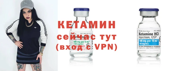 шишки Дмитриев
