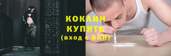 ГАЛЛЮЦИНОГЕННЫЕ ГРИБЫ Гусь-Хрустальный