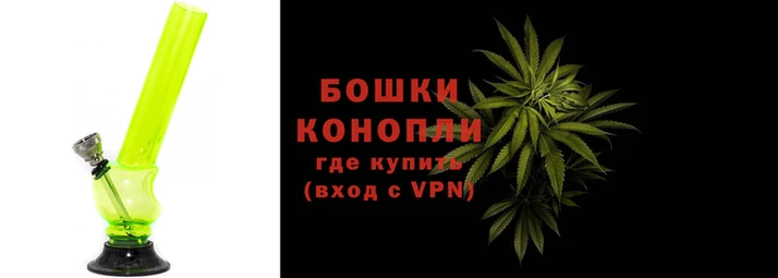 ПСИЛОЦИБИНОВЫЕ ГРИБЫ Дмитров