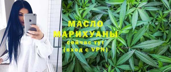 шишки Дмитриев
