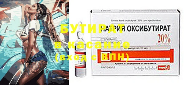 шишки Дмитриев