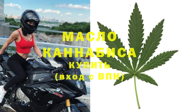 шишки Дмитриев