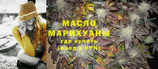 шишки Дмитриев