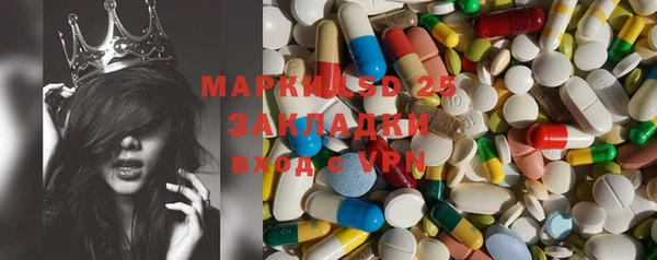 ПСИЛОЦИБИНОВЫЕ ГРИБЫ Дмитров