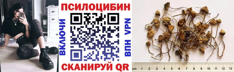 Галлюциногенные грибы GOLDEN TEACHER  мега зеркало  Сельцо 