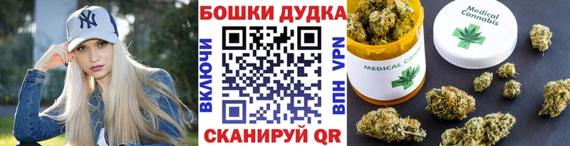 даркнет телеграм  Сельцо  Канабис семена 